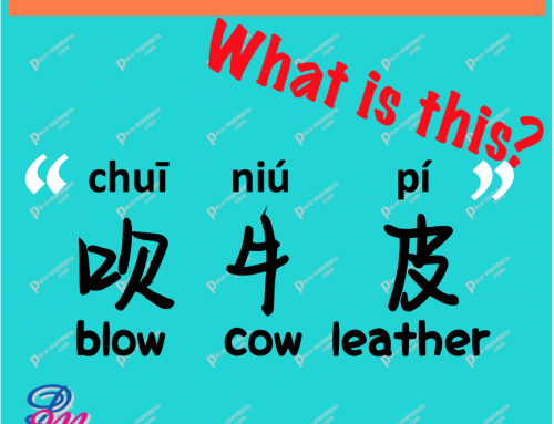 chuī niú pí 吹牛皮 to boast