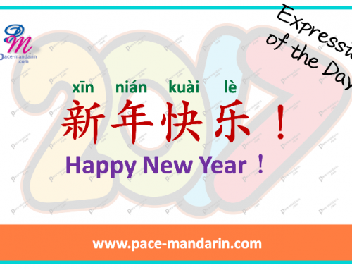 Xīn nián kuài lè! 新年快乐！Happy New Year!