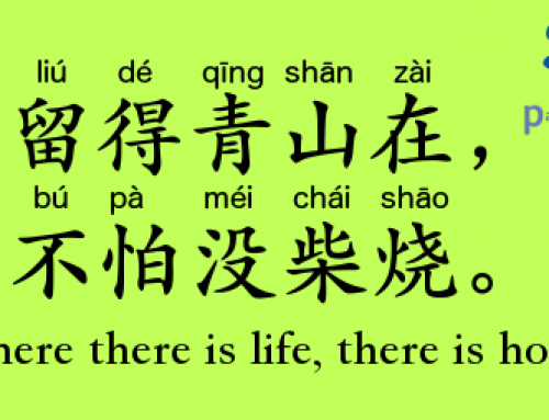 liú-dé-qīng-shān-zài, bú-pà-méi-chái-shāo Where there is life, there is hope