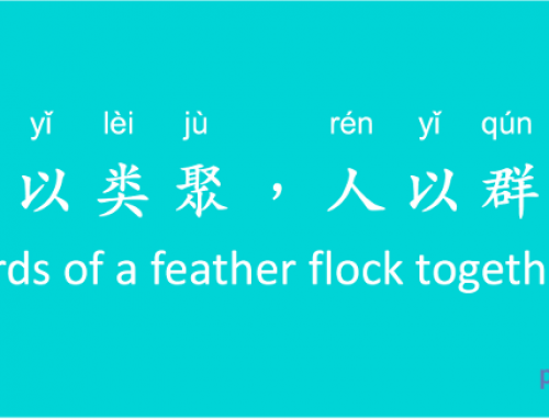 wù yǐ lèi jù, rén yǐ qún fēn 物以类聚，人以群分 birds of a feather flock together