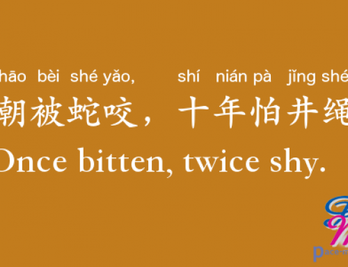 yì zhāo bèi shé yǎo, shí nián pà jǐng shéng 一朝被蛇咬，十年怕井绳 Once bitten, twice shy